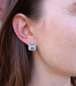 Blue Topaz & Tanzanite Earrings