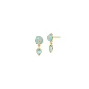 Blue Uirapuru Earrings