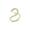 Cosmic Ring
