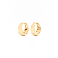 Creoles Hoop Earrings