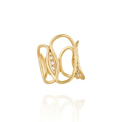 Fluid Diamond Chain Ring