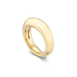 Gold Narrow Dome Ring