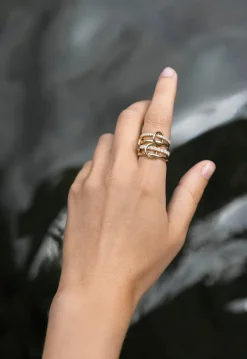 Halley Ring