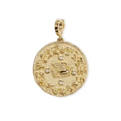 Large Mother Nature Coin