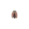 Mini Scarab Fly Stud Earring - Pink