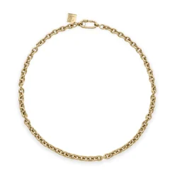 Polished Lee Cable Short Chain