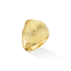 Shell Pinky Ring