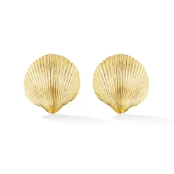 Small Gold Shell Studs