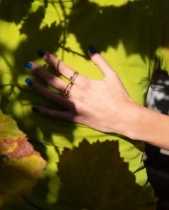 Solarium SG Ring