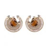 Tiger's Eye Chakra Round Earrings